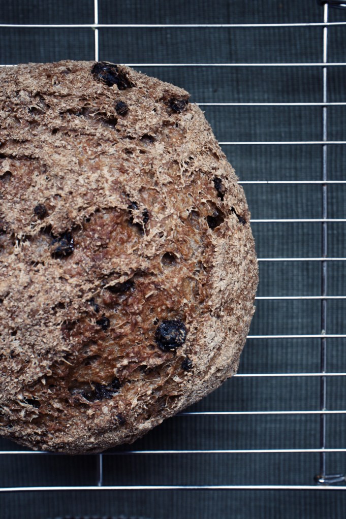 Wholewheat no knead raisin pecan bread fresh out of the oven