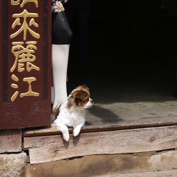 Dayan Old Town 大研古镇