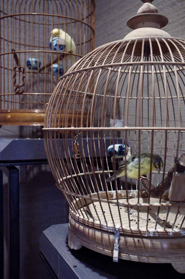 Wang De Chuan 王德傳茶莊 @ 中山北路一段95號