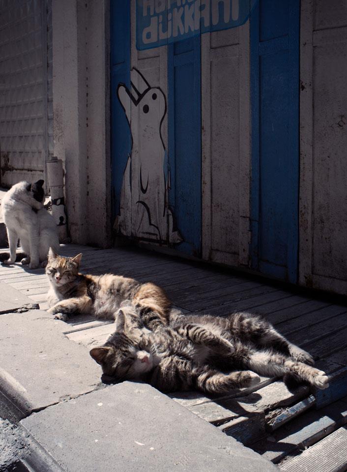 Every Sunday should be like&nbsp;this