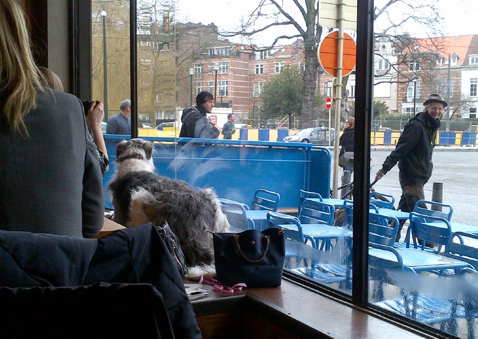 Café Belga - mysterious dog again
