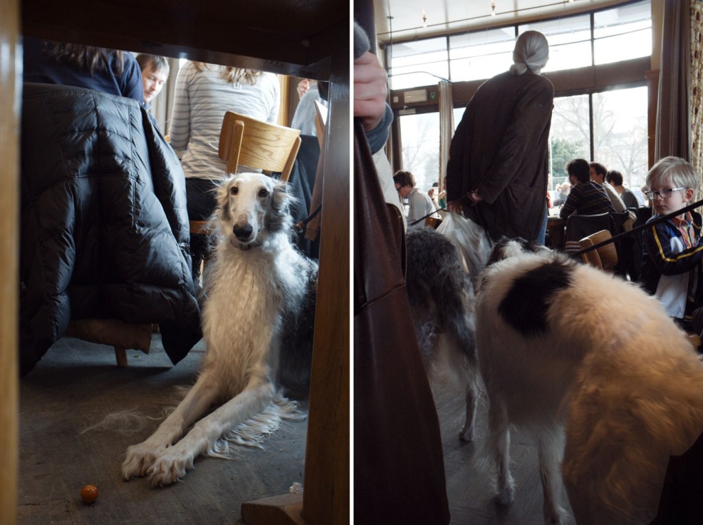 Café Belga03,7 - borzoiK64 - diptych