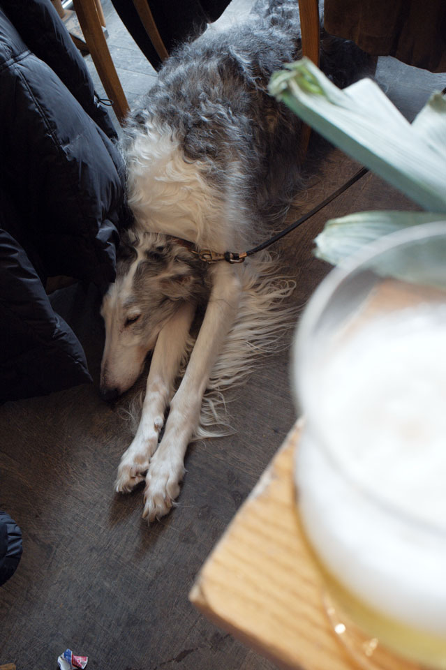 Weekends with a Borzoi at Café&nbsp;Belga