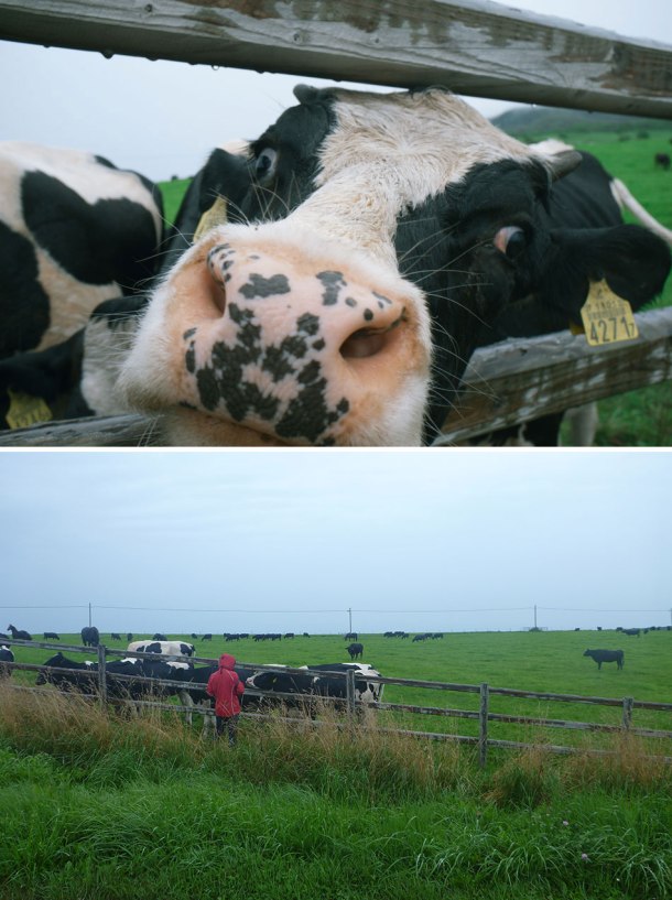 Abashiri 網走 - Cape Notoro 能取岬02,7