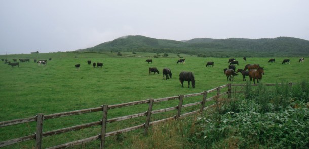 Abashiri 網走 - Cape Notoro 能取岬06tc4