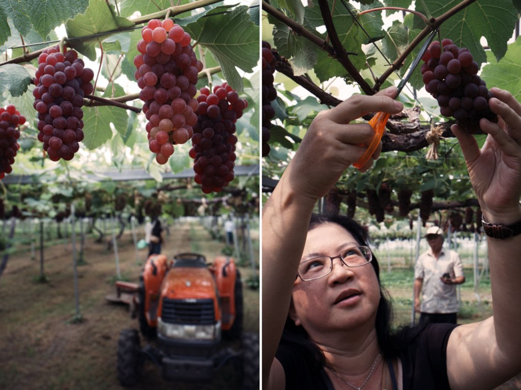 Sobetsu - Kudamonomura ホームページへ02,6lf