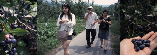 Sobetsu - Kudamonomura ホームページへ03,4,7lfc