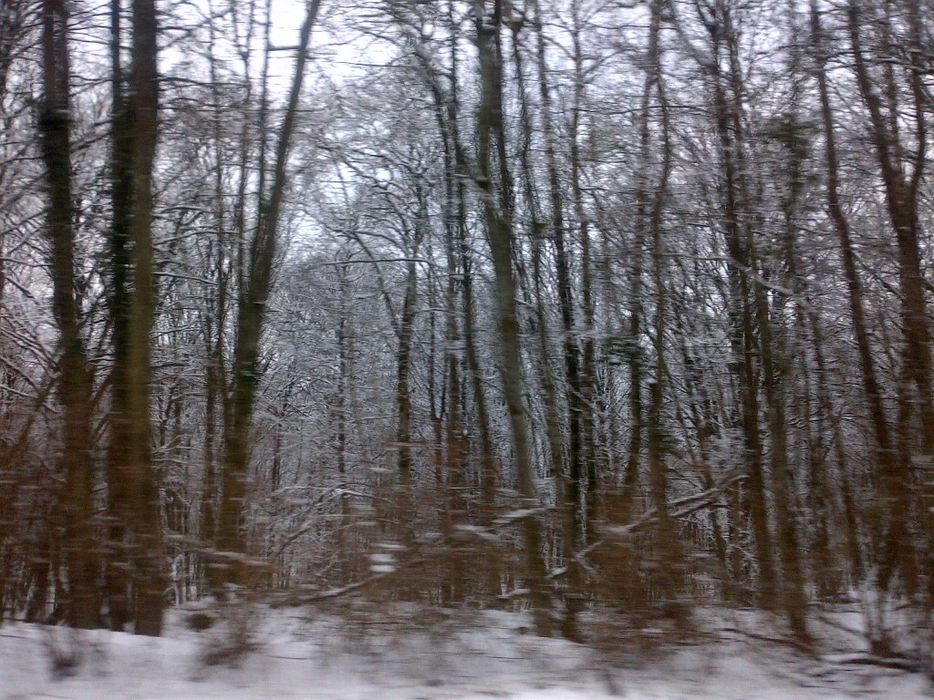 Villers-Allerand-20130226-00234