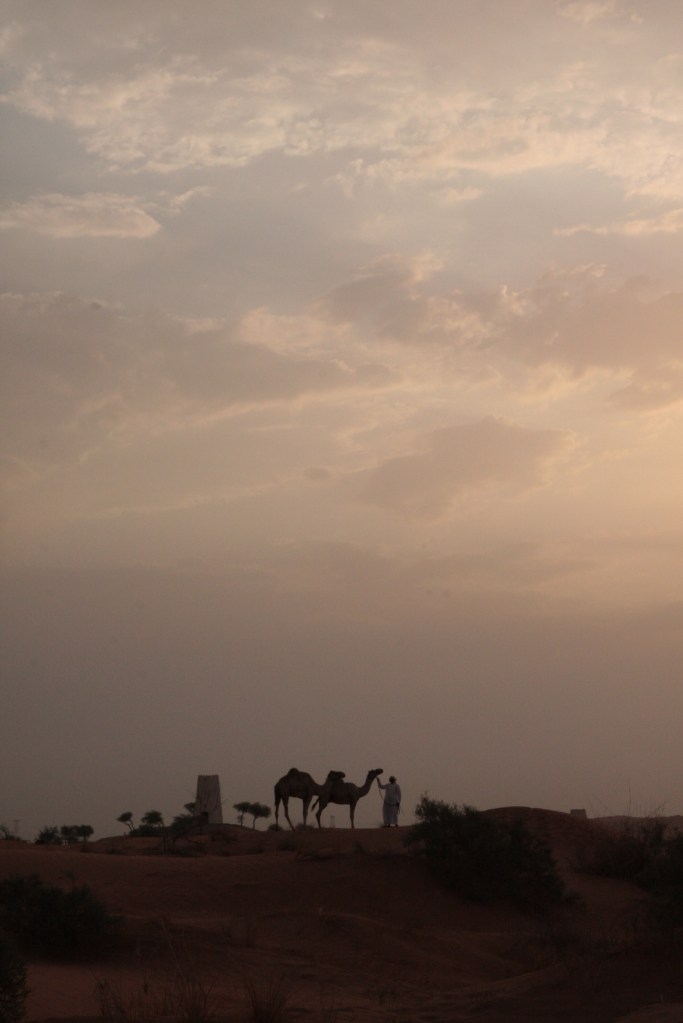 BTAEAW - filming at sunrise56