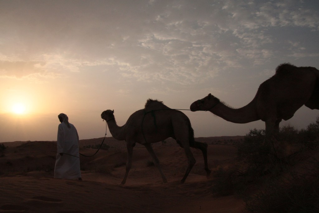 BTAEAW - filming at sunrise60c