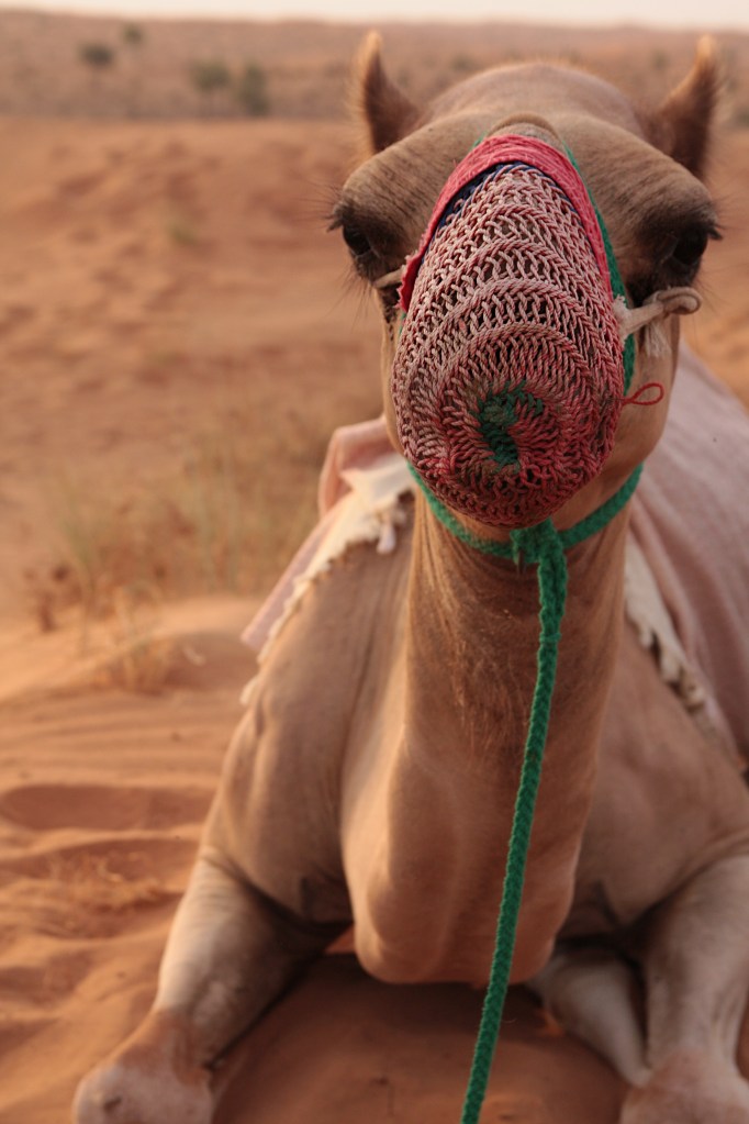 BTAEAW - filming at sunrise67 clone.unsharpen