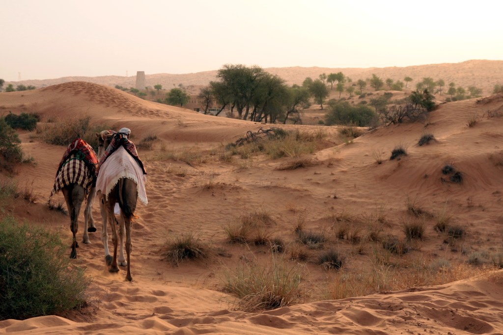 BTAEAW - filming at sunrise72 levels