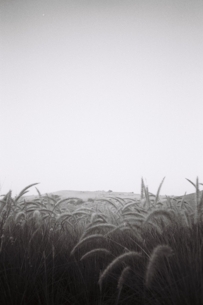 F1010001 - Ilford Delta400