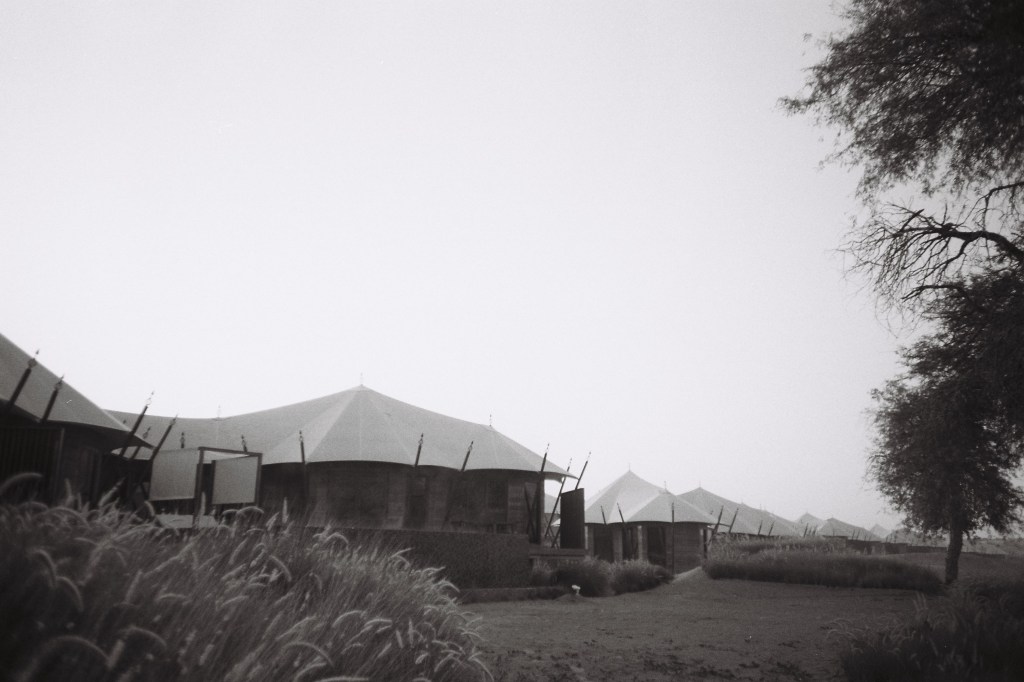 F1010004 - Ilford Delta400