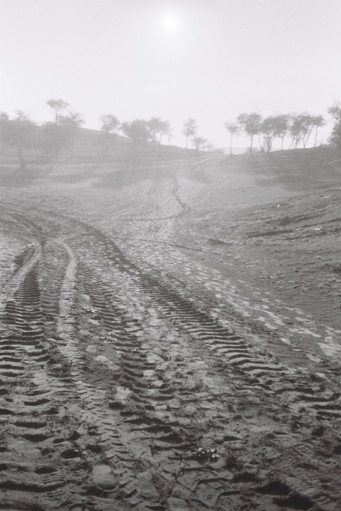 F1010007 - Ilford Delta400