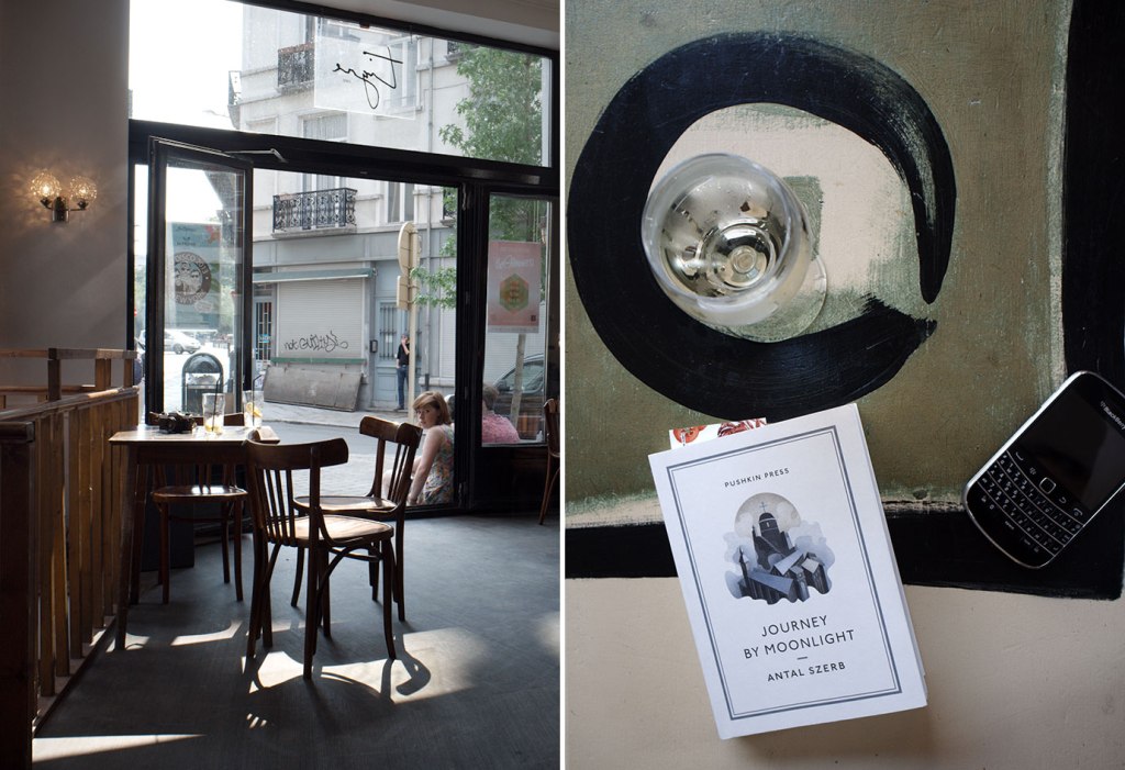 Tigre @ 117 Rue de la Brasserie01-3 - journey by moonlightk64