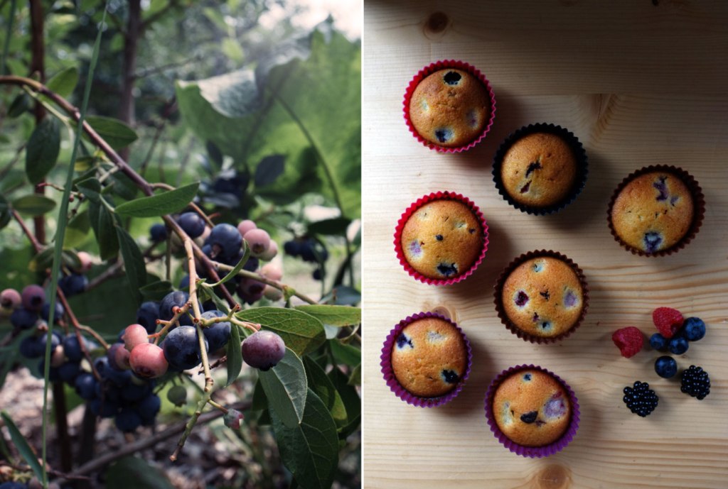 Very berry coffee cake10diptych12