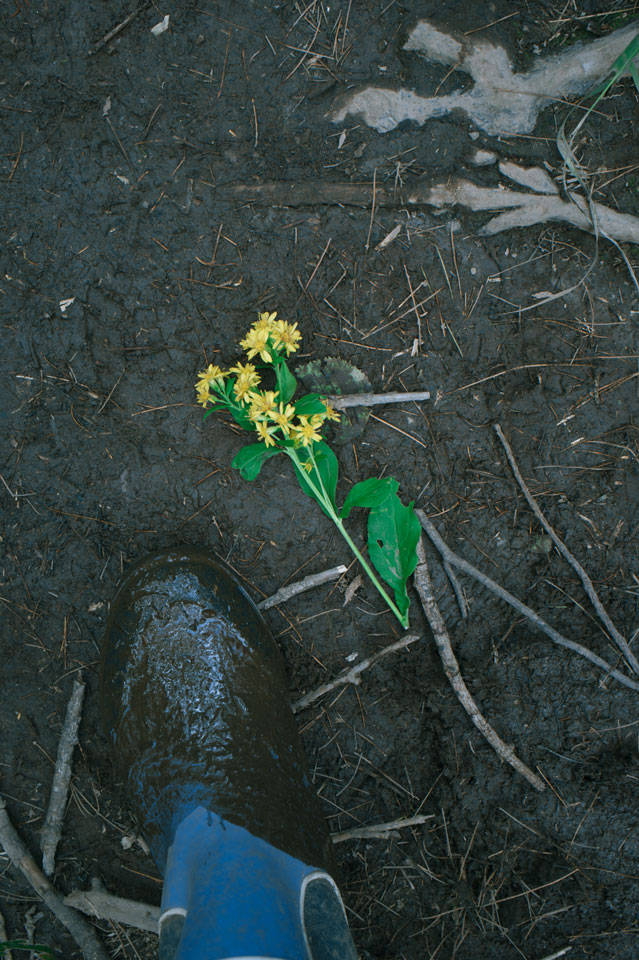 Rausu Lake 羅臼湖22tc4