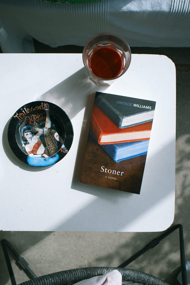 Stoner by John Williams03tc4