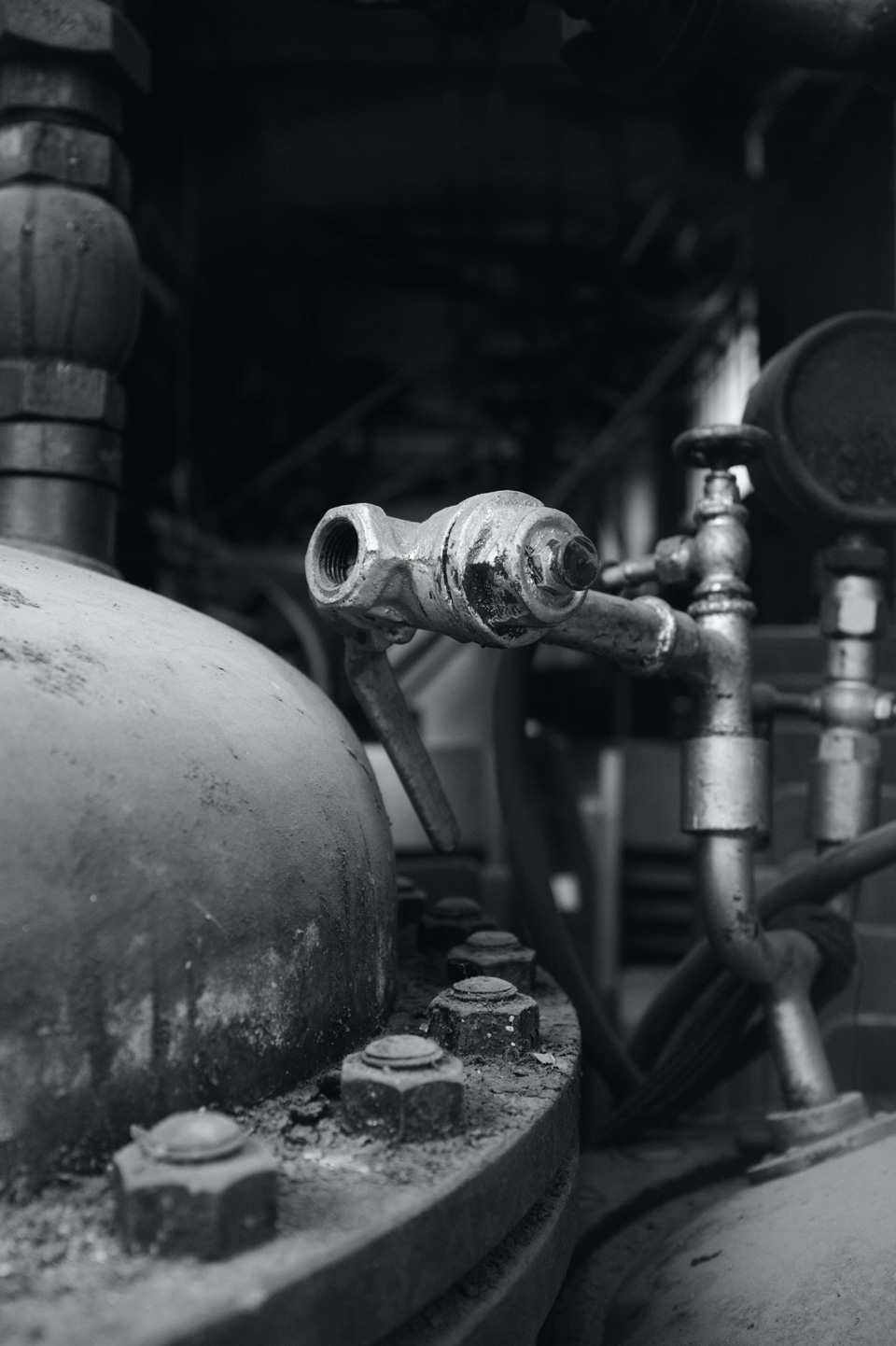 Magnum Photos workshop + Fotofestival Mannheim-Ludwigshafen-Heidelberg