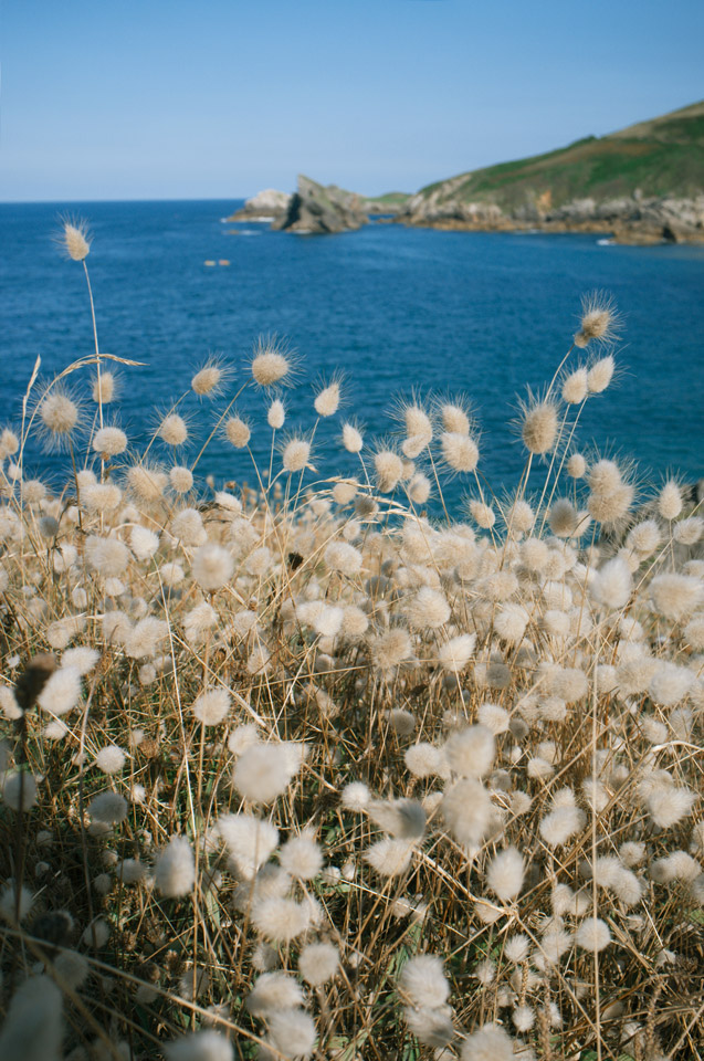 Playa de Torimbia09tc4