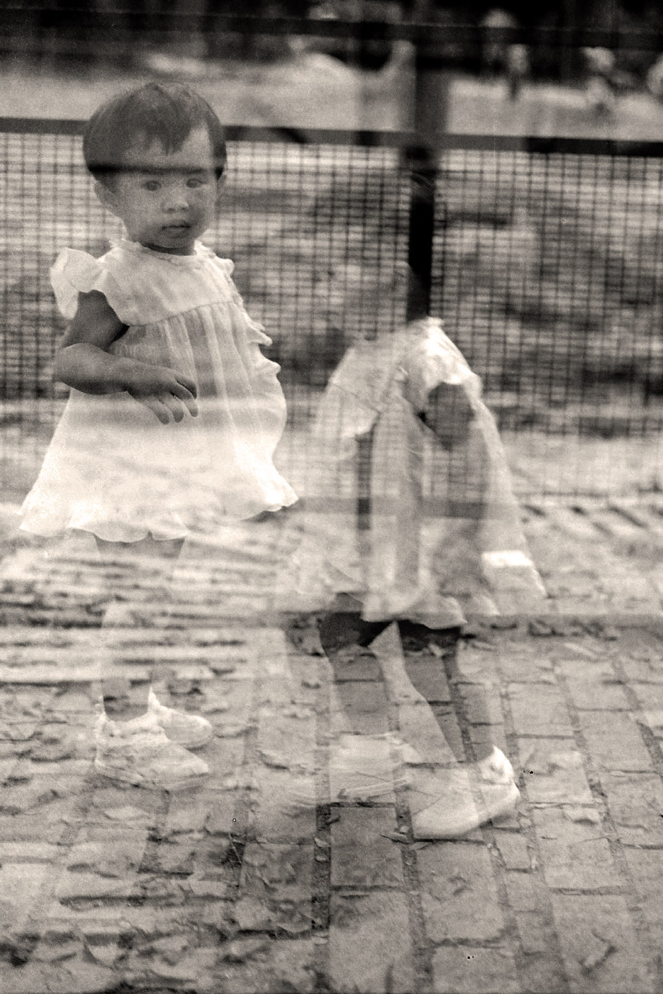 Gerbrand Bakker: The&nbsp;Twin