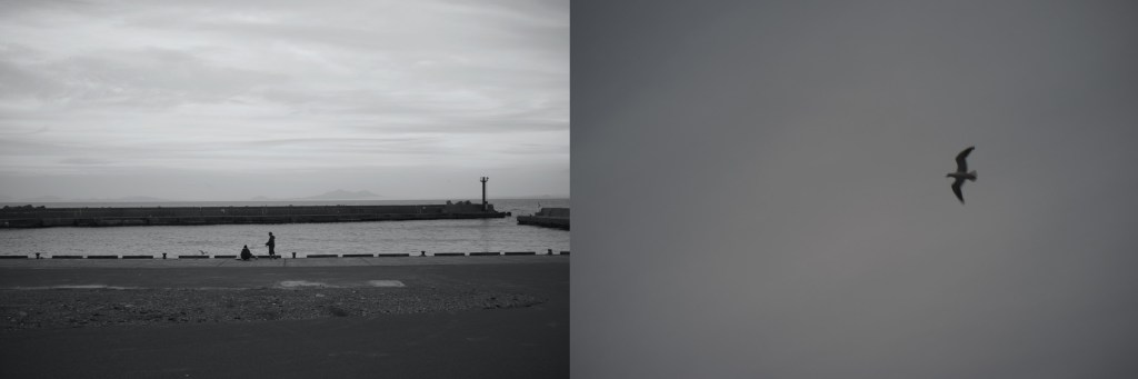 New Perspective: Rausu, Hokkaido // 羅臼,&nbsp;北海道