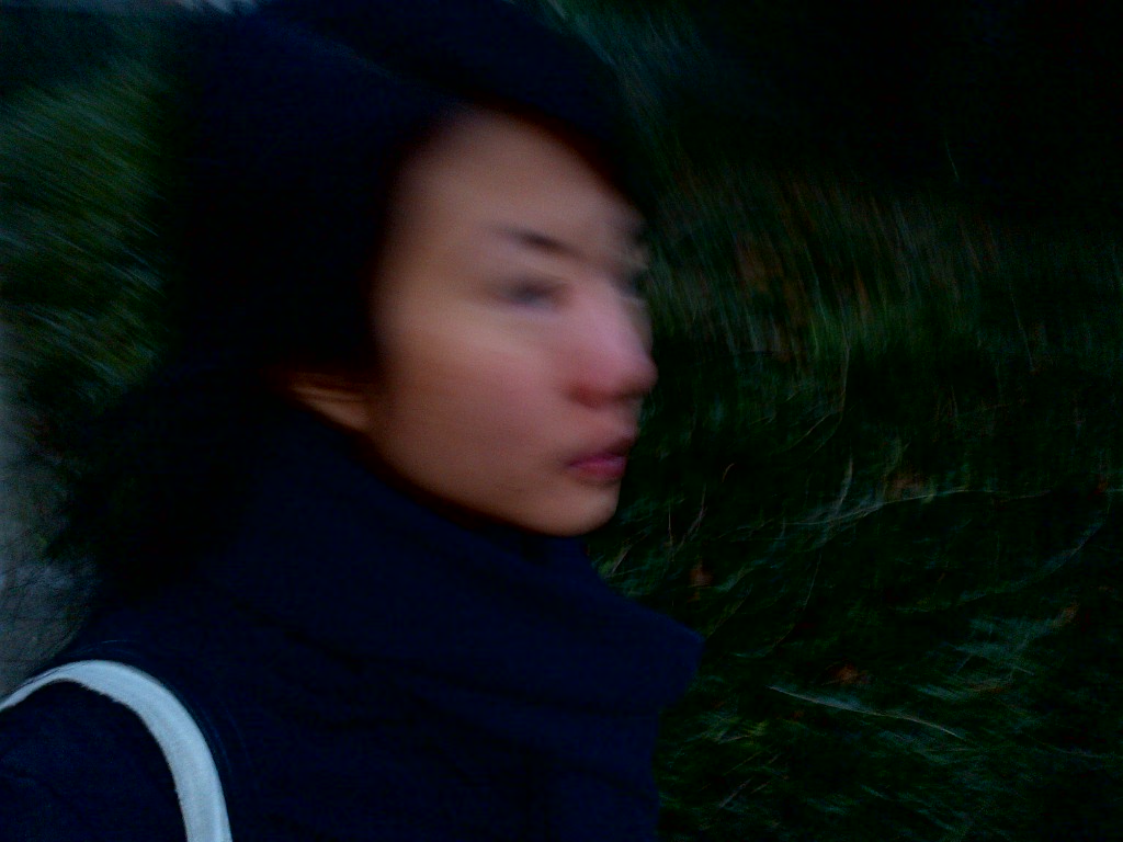 Brussel-20131218-03168