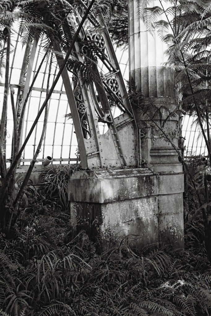 11 F1010018 KODAK TX400 (exp Jun 2012)03ABs