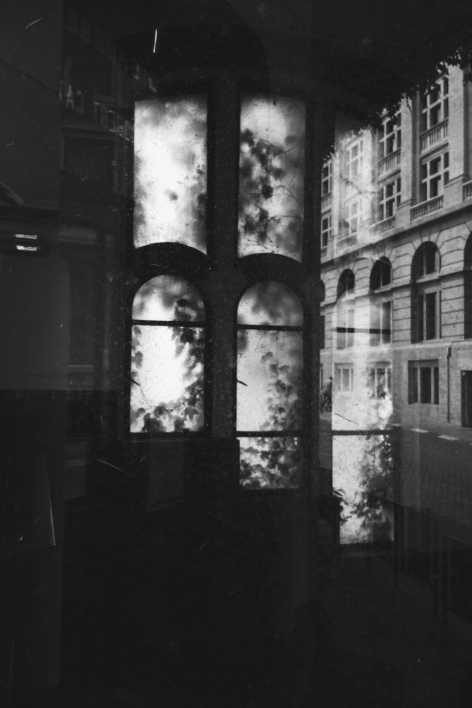 Processed with VSCOcam with b5 preset