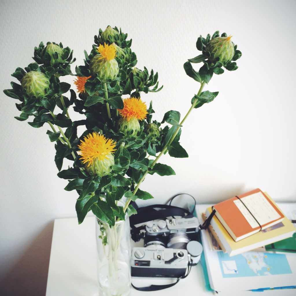 Processed with VSCOcam with f2 preset