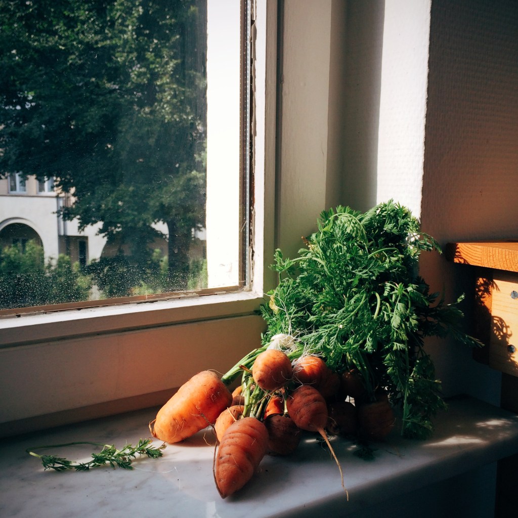 Processed with VSCOcam with e1 preset