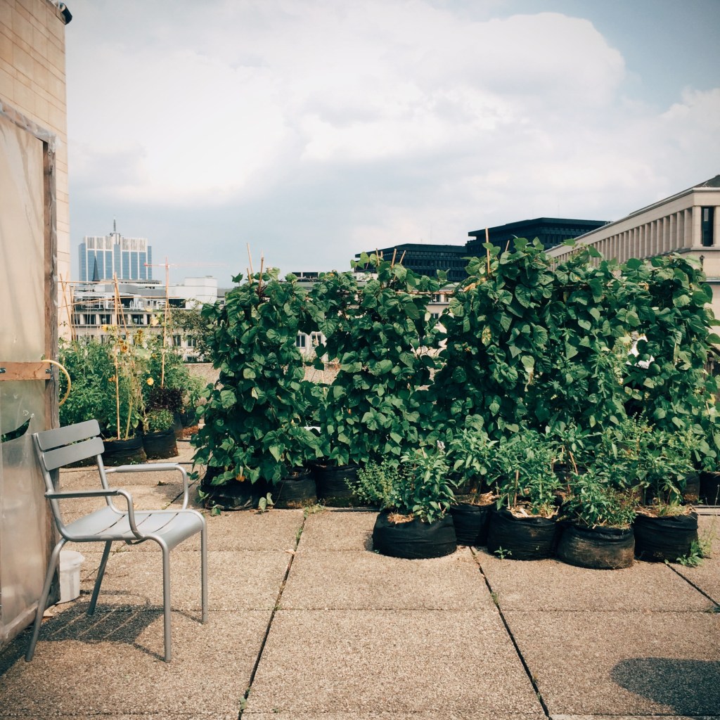 Processed with VSCOcam with e3 preset