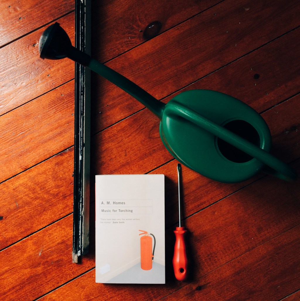 A. M. Homes: Music for&nbsp;Torching