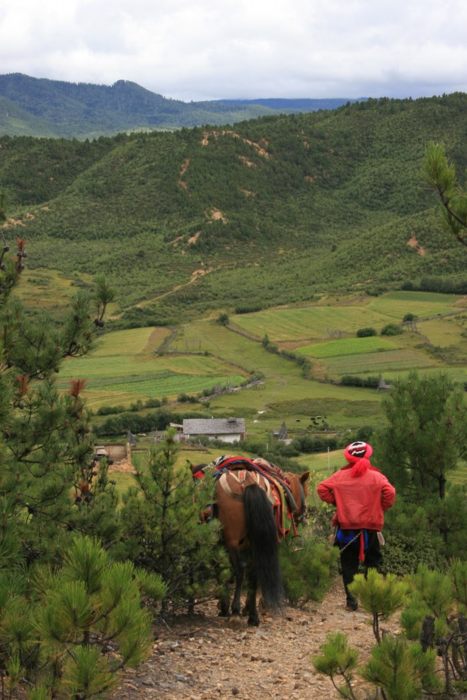 Horse trek to Ringha19