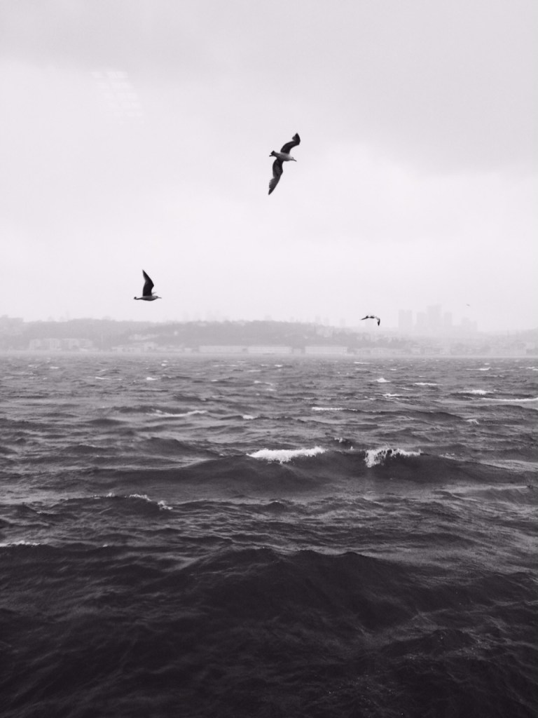 Istanbul - Bosphorus on a rainy day