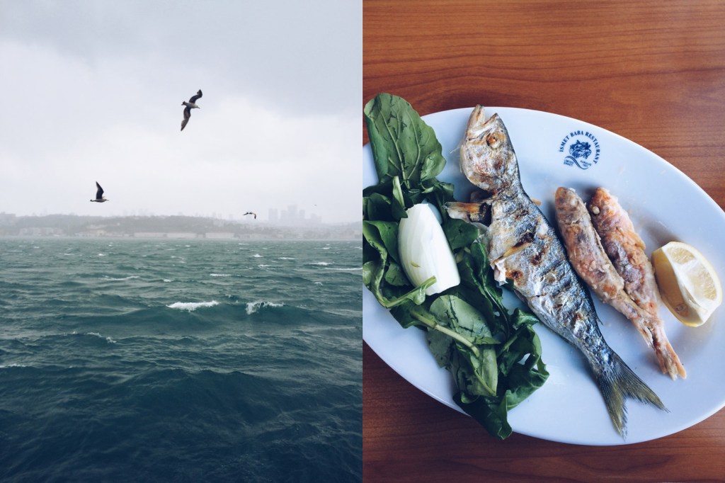 Kuzcunguk - Ismet Baba 4