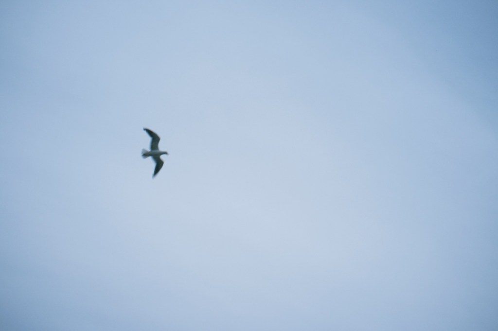 Looking back at 12 days of summer in Hokkaido //&nbsp;北海道