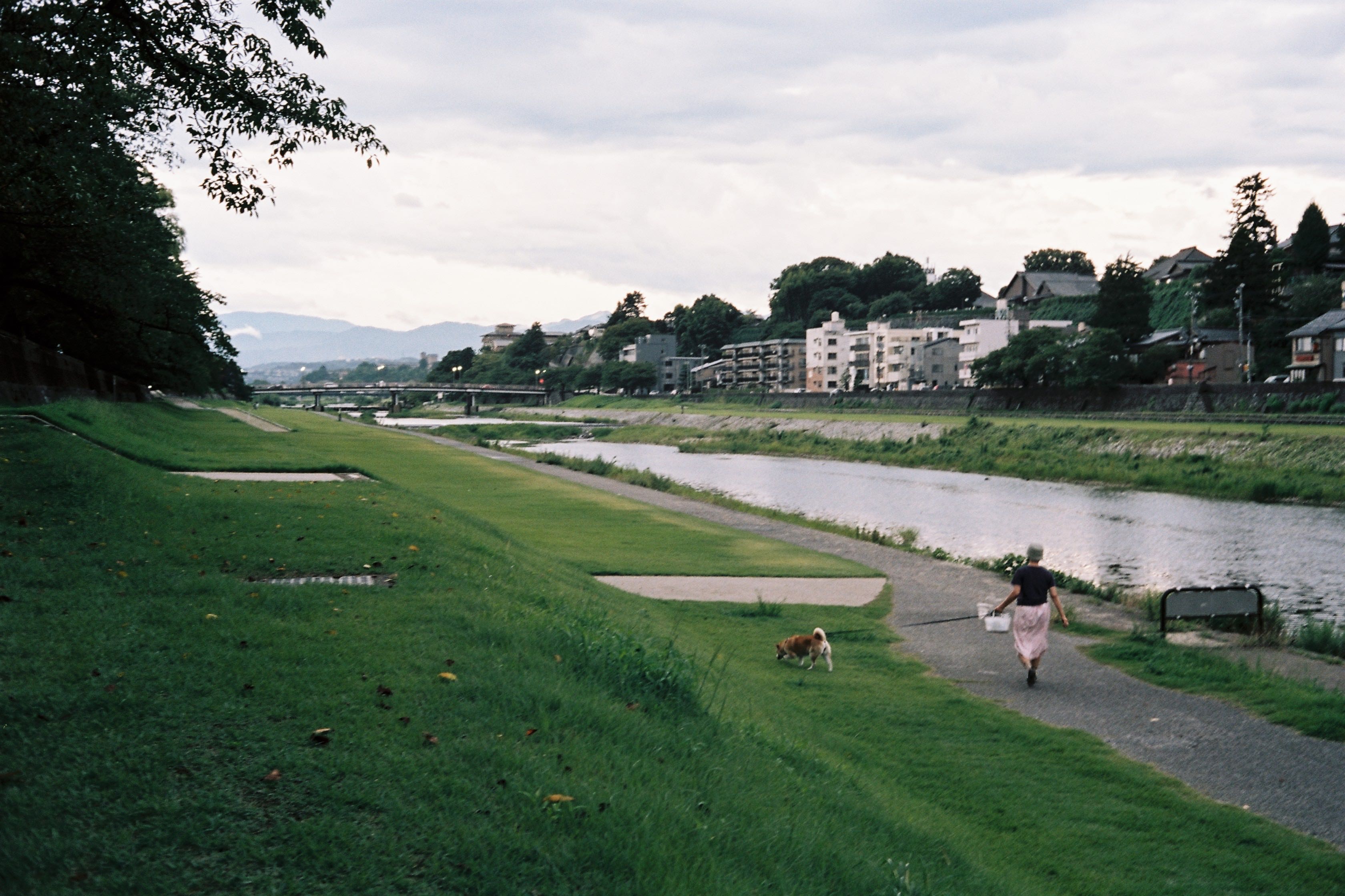 Sai River, Kanazawa - shot with Canonet QL17 with Portra 160