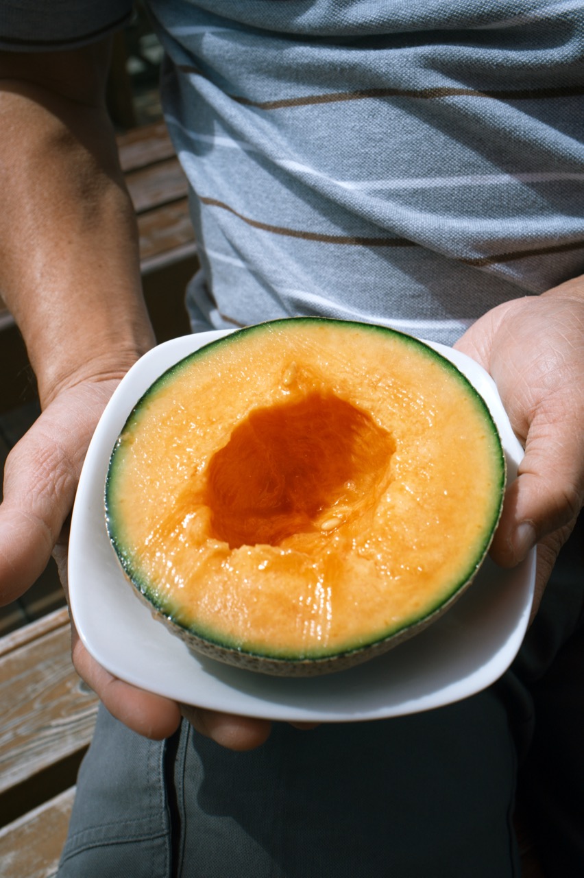 Popura Farm ポプラファーム01tc4