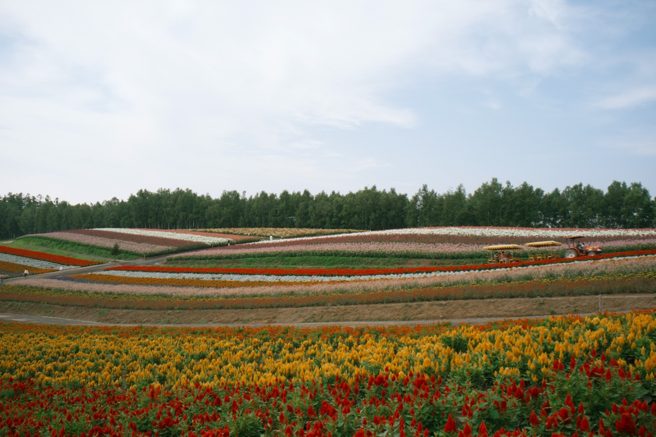 Shikisai-no-Oka 四季彩の丘10tc4