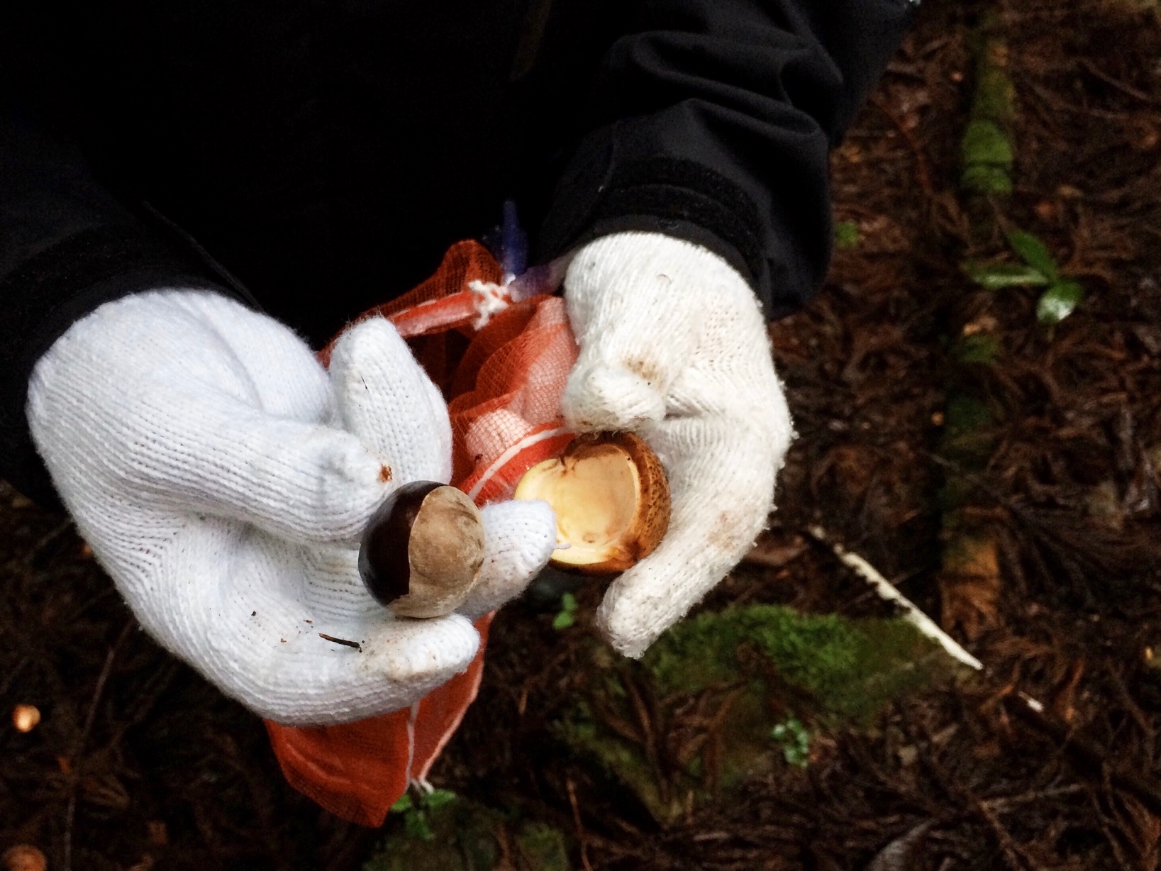 Processed with VSCOcam with s2 preset