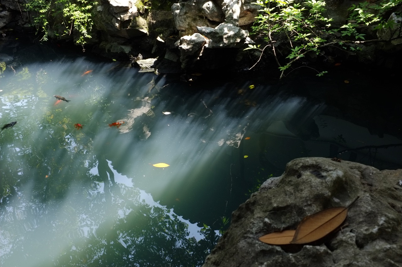 Half Garden 北半园