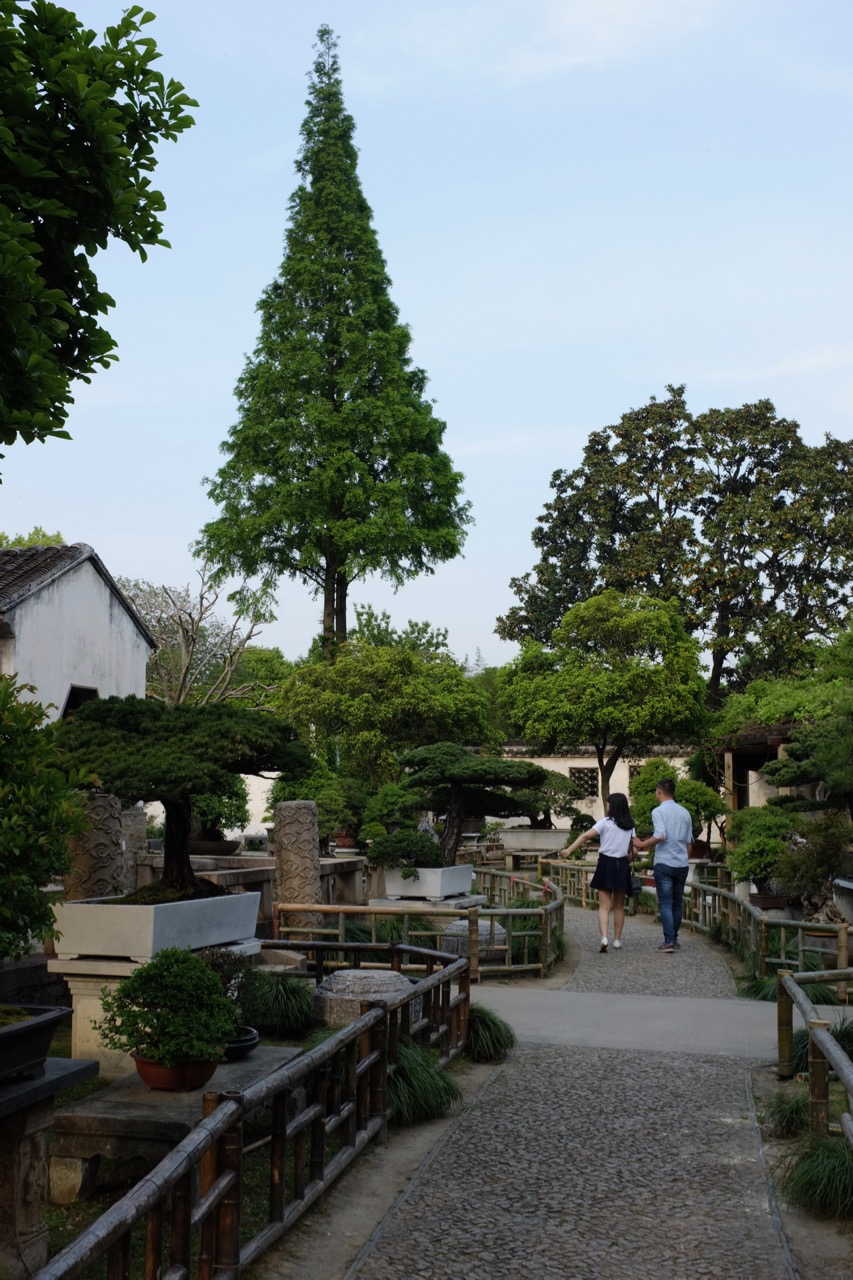 Lingering Garden 留园