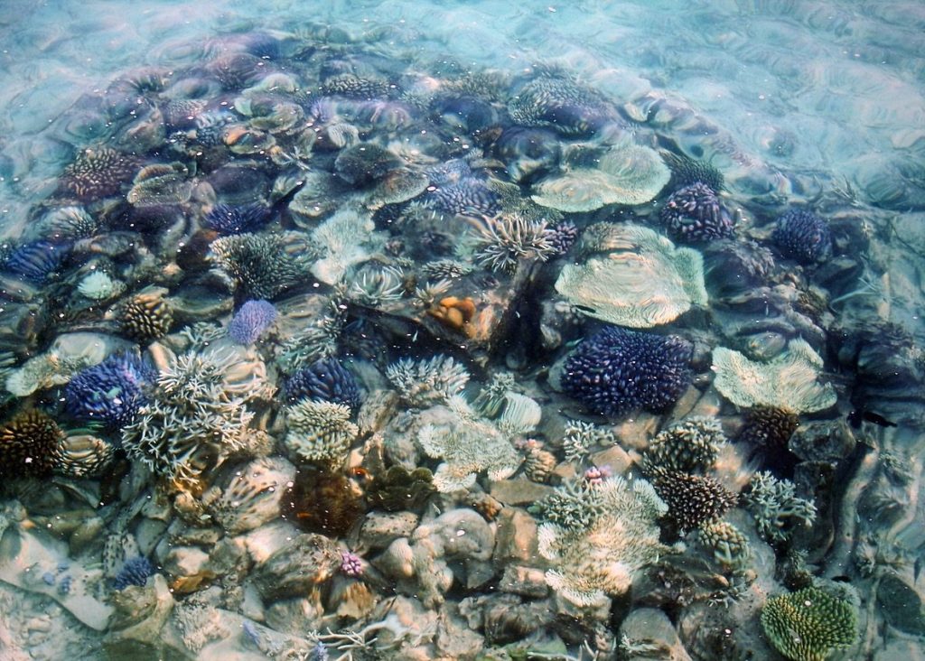 Discovering the Unexpected in&nbsp;Travel