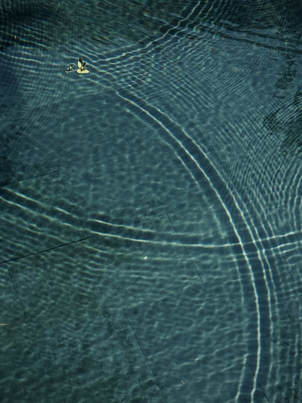 My Word of the Year for 2026:&nbsp;Clarity